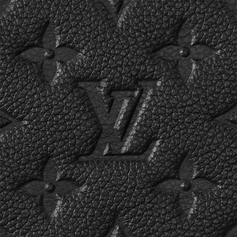 LV デイリーポーチ   Ref:M62937